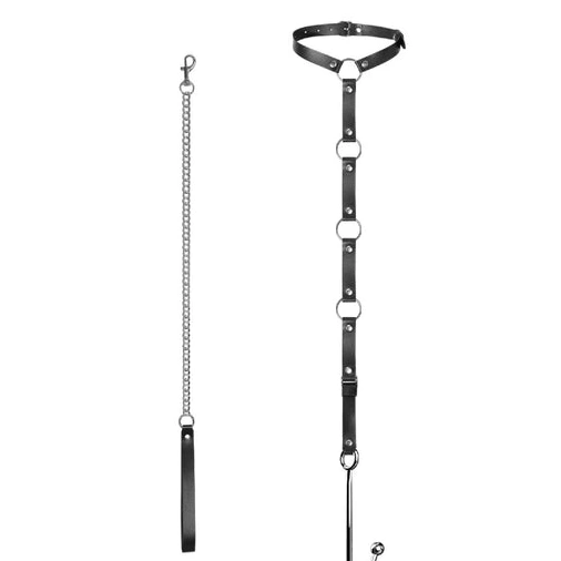 Anal Hooks Anal Leash 5853 Hook EverydayUse and with Kinky Collar 1017